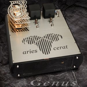 Genus Amplfier