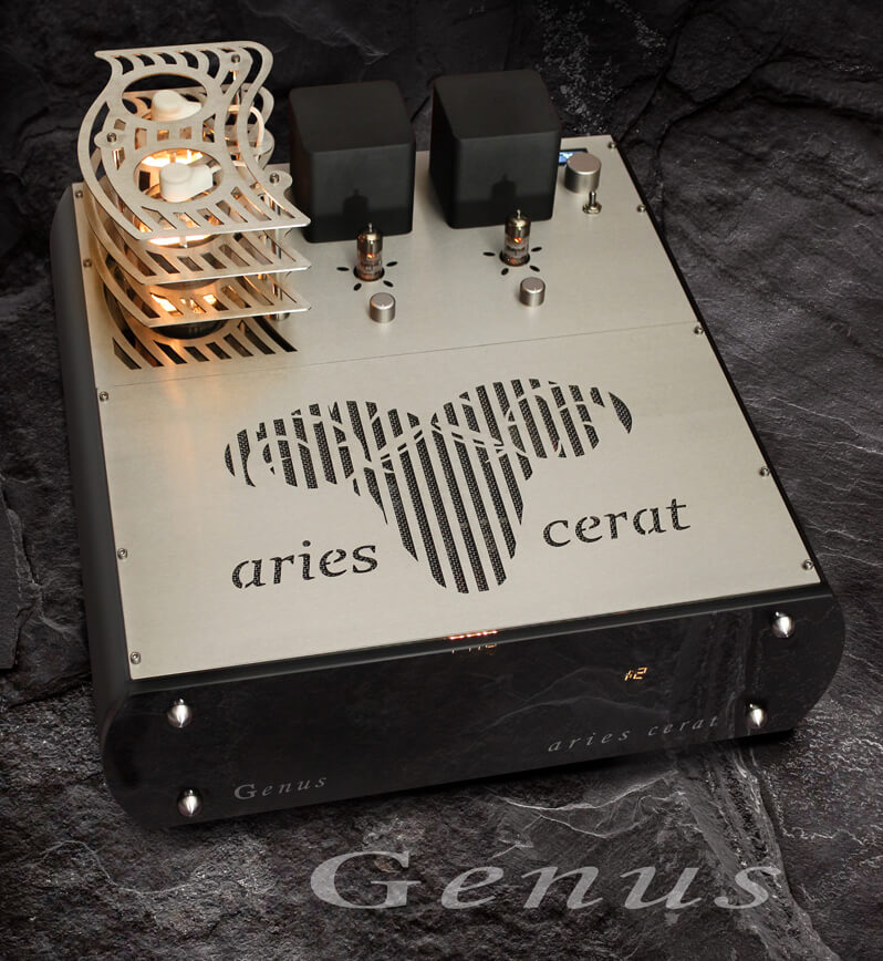 Genus Amplfier