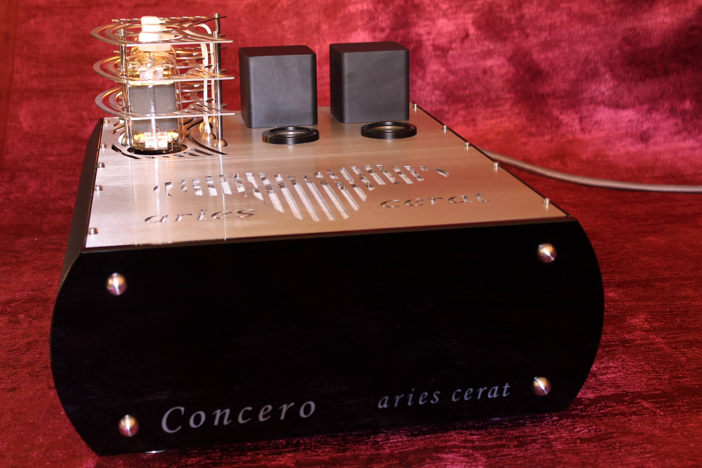 Concero 65 Monoblock Tube Amplifier - Image 5
