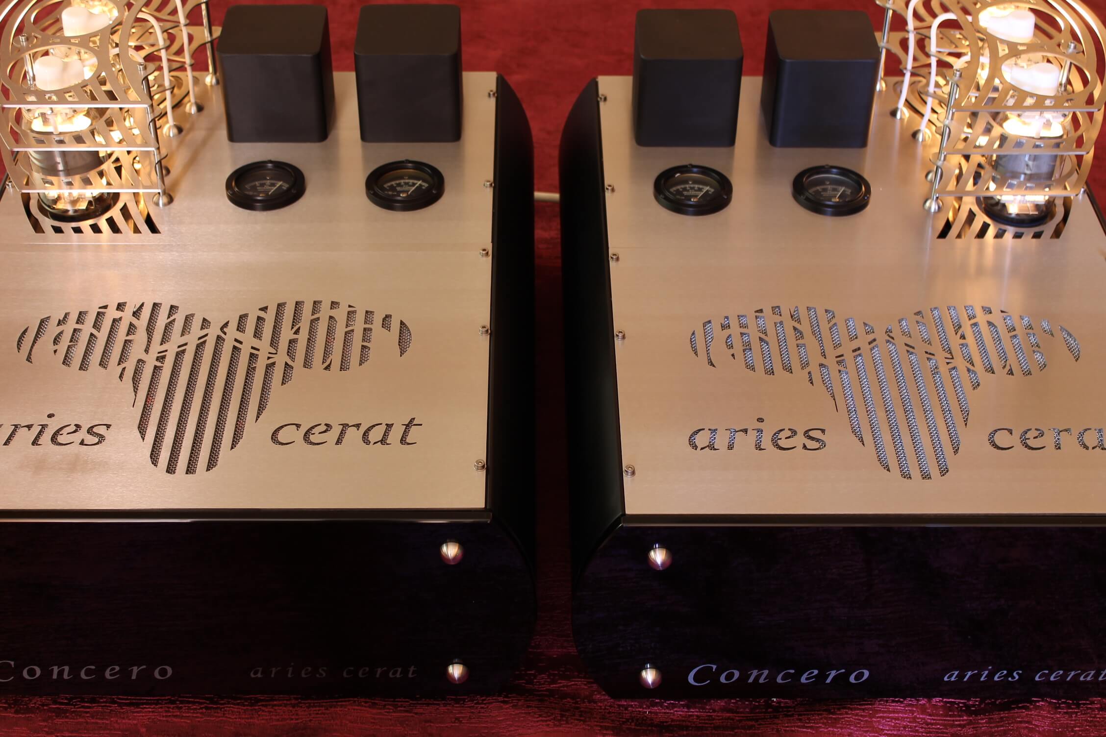 Concero 65 Monoblock Tube Amplifier - Image 4