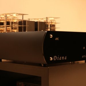 Diana Tube 25w